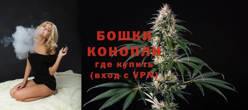 где купить наркотик  mega ССЫЛКА  Марихуана SATIVA & INDICA  Слюдянка 